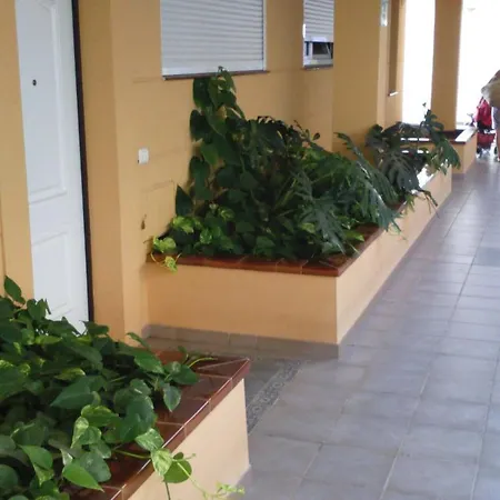 Lejlighed The Sunset