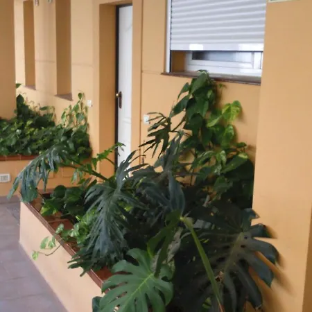 The Sunset Lejlighed