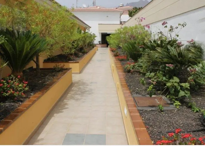 The Sunset * 阿德耶