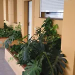 The Sunset Appartement
