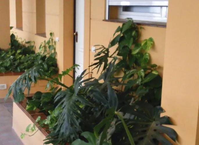 The Sunset Apartamento